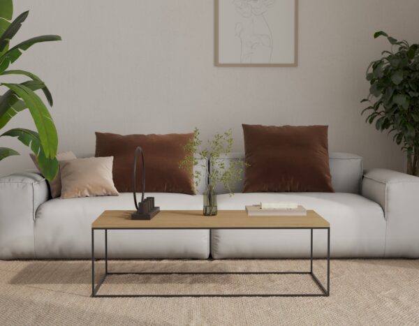 Minimalistický nízky dubový konferenčný stolík, 100 x 50 cm